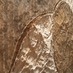 Lifecircle | Detail | 2009