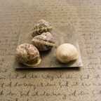 The Journey | Detail | 2009